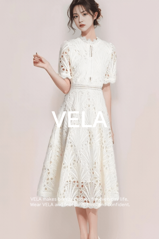 Sheer Lace Embroidered Flare Dress