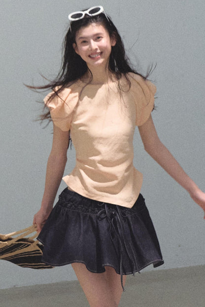 Embroidered Puffy A-Line Skirt