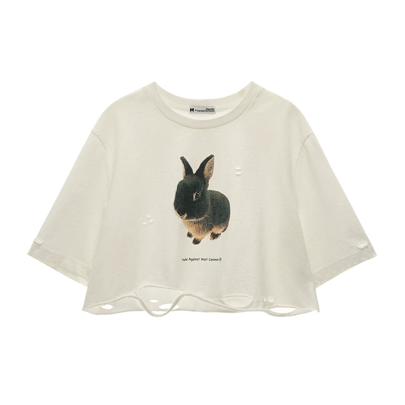Summer Rabbit Top