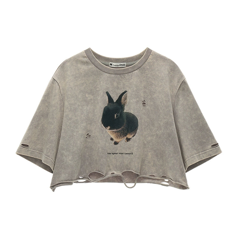 Summer Rabbit Top