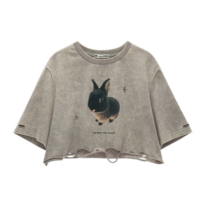 Summer Rabbit Top
