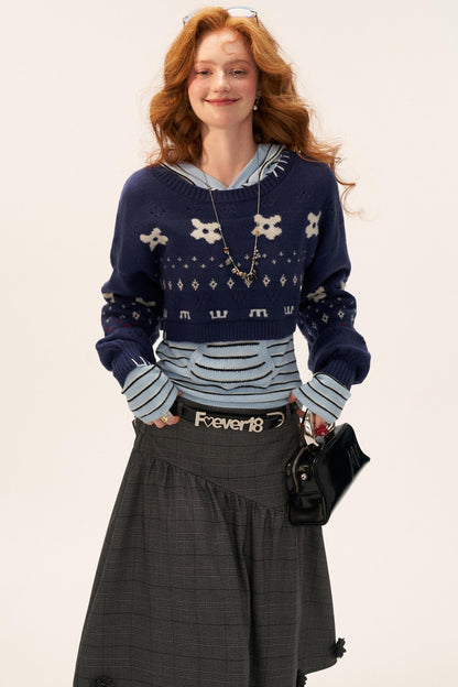 Apple Stripe Hoodie Sweater